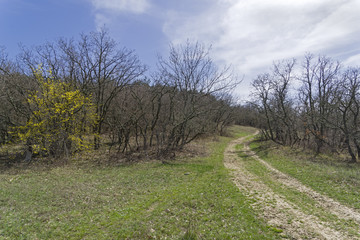 A dirt road in the mountains. Crimea.