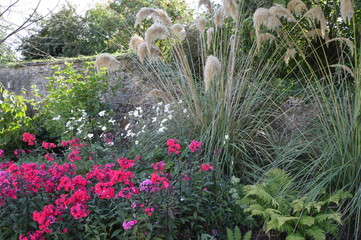 Aberdour Old School Sensory Garden, Aberdour, Fife, Scotland, with plants designed to stimulate all of the senses.