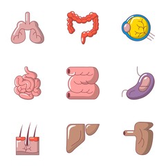 Inner organ icons set. Cartoon set of 9 inner organ vector icons for web isolated on white background