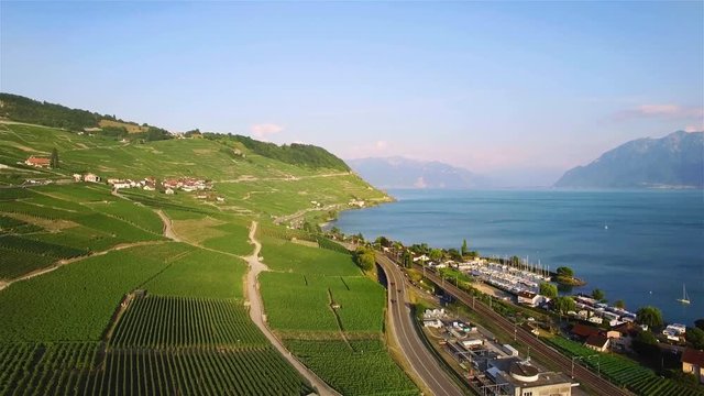 4K Aerial footage of Vineyard fields in Terrasses de Lavaux near Lausanne in Switzerland - UHD