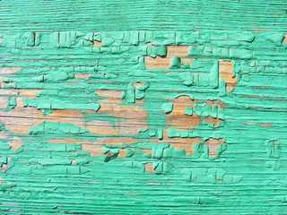 Abstract closeup on green backdrop. Old vintage wood texture background