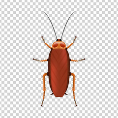 Vector realistic isolated cockroach for decoration and covering on the transparent background. Concept of insect danger and disinsection.