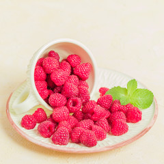 Ripe raspberries with green mint leaves in cup and saucer on pastel yellow background.