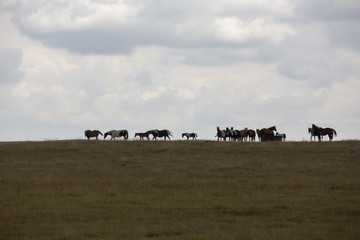 Prairie Storm Clouds Canada