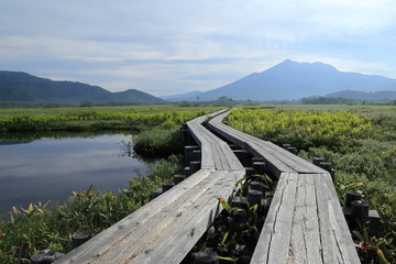 早朝の尾瀬ヶ原 / Oze national park in early morning