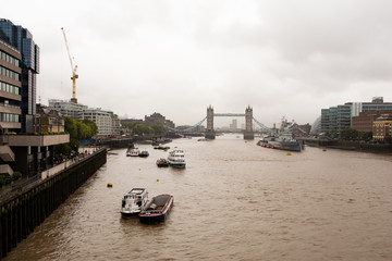 Fototapeta premium Tower Bridge
