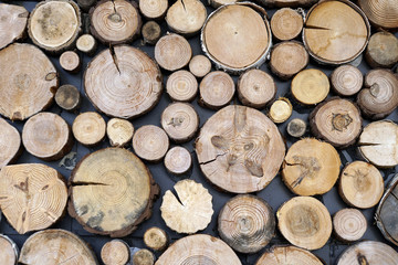 Wandverkleidung mit Holzscheiben unterschiedlicher Größe