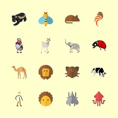 animal icons set. humor, kitty, parasite and whiskers graphic works