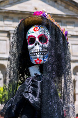 La calavera luce elegante.