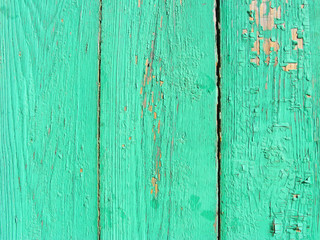 Old vintage green wood texture background. Shabby chic interior design.