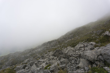 Fototapeta na wymiar Foggy Rock Meadow - Alps