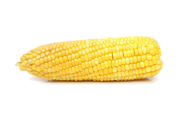 Peeled yellow sweet corn isolated on white