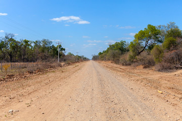 Fototapeta premium Gran Chaco. Bolivia. Tropical region with semi-desert landscape road through