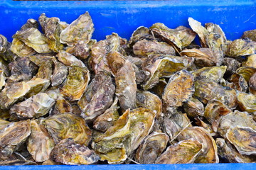 Oysters being served up in the town’s many gourmet restaurants and oyster bars and celebrated in...
