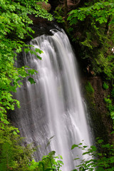 Waterfalls in forest. Victor falls near Seattle. Washington. United States of America.
