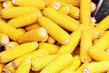 Sweetcorn for sale