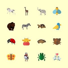 Obraz premium animal icons set. wings, beautiful, run and indian graphic works