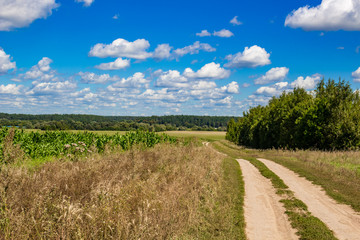 Fototapeta na wymiar Rural dirt road along agricultural fields, against a background of blue sky. Central Russia 