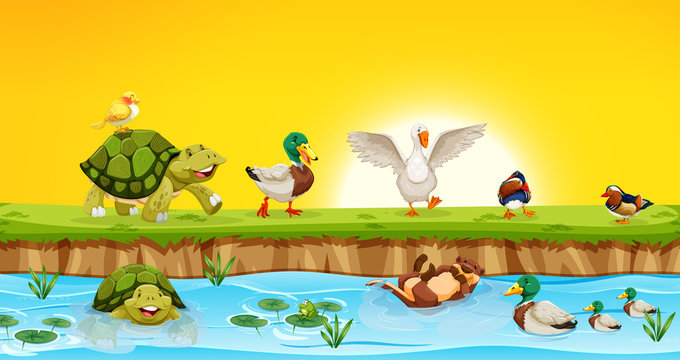 Different animals in pond scene