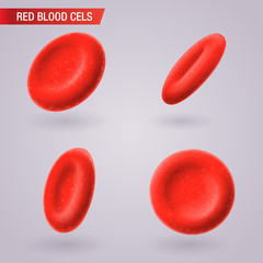Red Blood cells microbiological medical isolated vector illustration