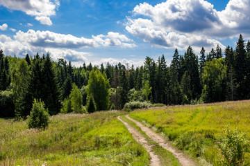 Fototapeta na wymiar Rural dirt road leading to the coniferous forest. Zhukovskiy district, Kaluzhskiy region, Russia 