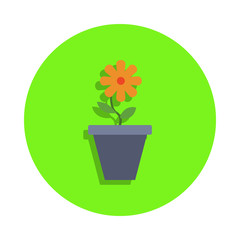 colored flower in a pot in green badge icon. Element of science and laboratory for mobile concept and web apps. Detailed flower in a pot icon