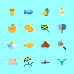 16 tropical icons set