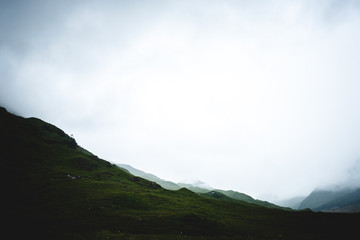 Fototapeta premium Foggy Landscape