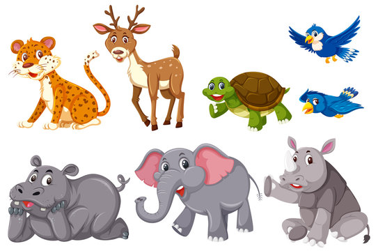A set of animals on white background