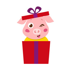 Birthday pig illustration vector