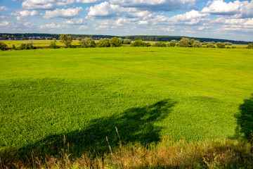 Obraz premium Beautiful view of a large green field on a blue sky background 
