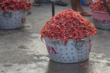 Fresh Fish for sale at Neendakara fishing harbour, Kollam, Kerala, India, Asian Harbour, Indian...