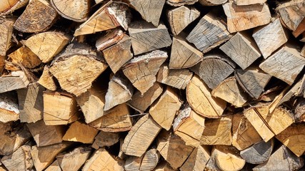 Preparation of firewood for the winter in Russia, Siberia.