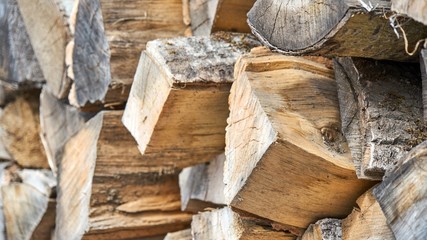 Preparation of firewood for the winter in Russia, Siberia.