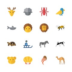 Obraz premium animal icons set. baby, roaring, bag and scuba graphic works