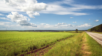 Fototapeta na wymiar Beautiful Panorama Scenery with Green Grass, Road, Field and Blue Sky at Sunny Day