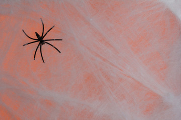Halloween background concept. Black spider on decor cobweb and orange backdrop.