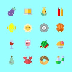 16 food icons set