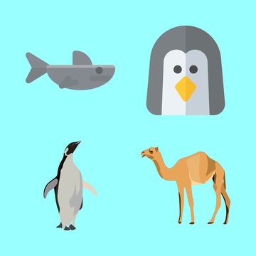 animals vector icons set. shark, penguin, penguen and camel in this set