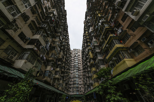 Hong Kong LU VI