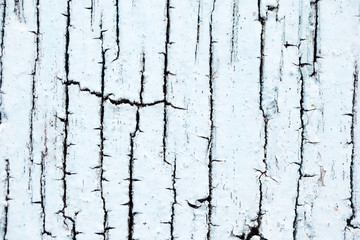 close up of cracked texture on wooden background