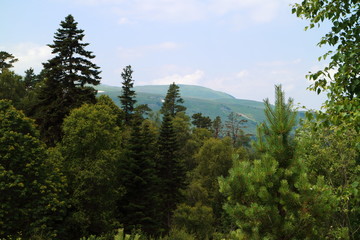 Fototapeta na wymiar Picture of a mountain valley.