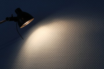 An image of painted fiberglass wallpaper.