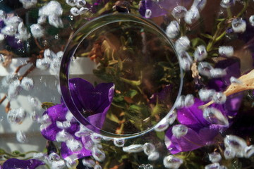 Image of air bubbles and colors. The image is blurry.