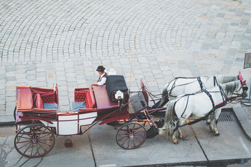 of horse heads of a Fiaker in Vienna, Austria. horse-drawn carriage