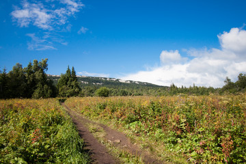 Fototapeta na wymiar the mountains in the national Park Zyuratkul