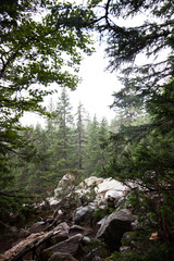gloomy mountains in the national Park Zyuratkul. Black and white photo