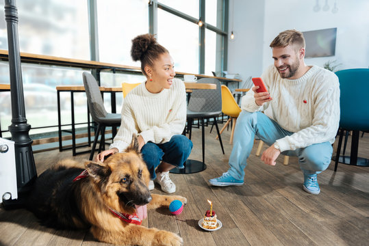 Photo of dog. Smiling blonde-haired man making photo of his big cute dog while playing with him in cafe