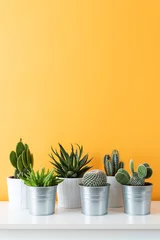  Verzameling van verschillende cactus- en vetplanten in verschillende potten. Ingemaakte cactus kamerplanten op witte plank tegen pastel mosterd gekleurde muur. © andreaobzerova