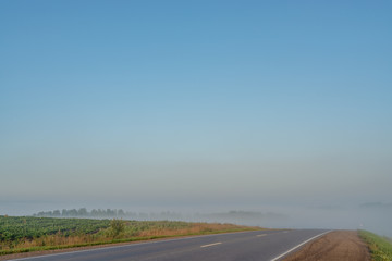picturesque view of highway near field in foggy morning 
